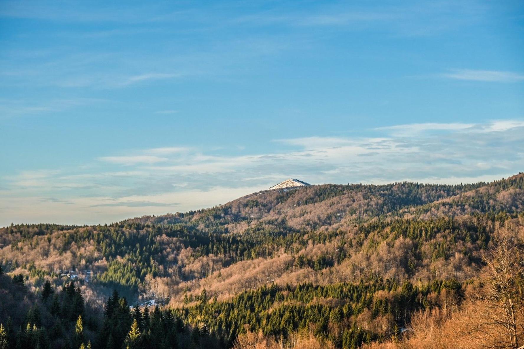 Vila Cajetinski Biser -Apartment Lux Kopaonik Buitenkant foto