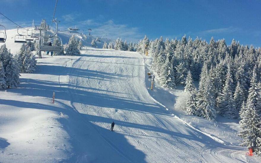 Vila Cajetinski Biser -Apartment Lux Kopaonik Buitenkant foto