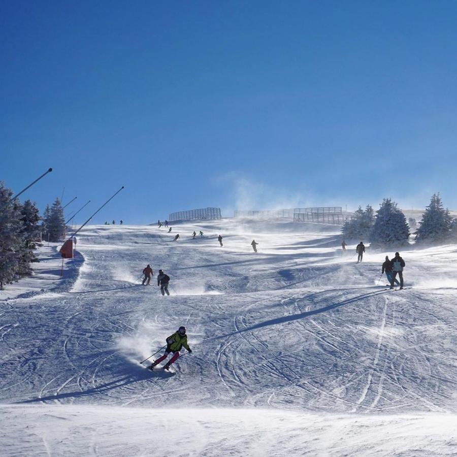 Vila Cajetinski Biser -Apartment Lux Kopaonik Buitenkant foto